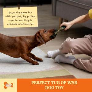 Chew Toys for Small Dogs